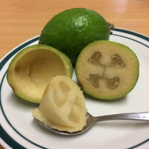 Feijoa a fruta Brasileira da Nova Zelândia